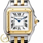 Cartier Panthere De Cartier Stainless Steel/Yellow Gold Small 22 x 30 mm W2PN0018