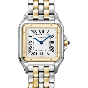Cartier Panthere De Cartier Stainless Steel/Yellow Gold Large 31 x 42 mm W2PN0016