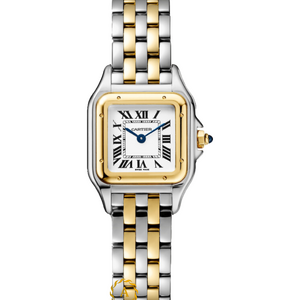 Cartier Panthere De Cartier Stainless Steel/Yellow Gold Small 22 x 30 mm W2PN0018
