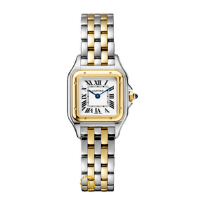 Cartier Panthere De Cartier Stainless Steel/Yellow Gold Small 22 x 30 mm W2PN0018