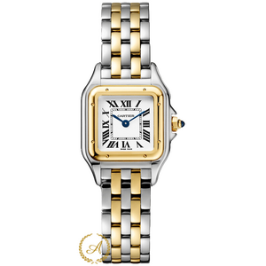 Cartier Panthere De Cartier Stainless Steel/Yellow Gold Small 22 x 30 mm W2PN0018