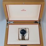 Omega • Seamaster Aqua Terra Blue Dial 41 mm
