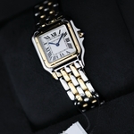 Cartier Panthere De Cartier Stainless Steel/Yellow Gold Medium 27 x 37 mm W2PN0019