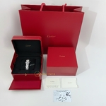 Cartier Panthere De Cartier Steel Small 23 x 30 mm WSPN0013