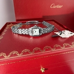 Cartier Panthere De Cartier Steel Mini 25,1 x 18,5 mm WSPN0012