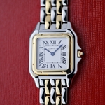 Cartier Panthere De Cartier Stainless Steel/Yellow Gold Medium 27 x 37 mm W2PN0019