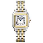 Cartier Panthere De Cartier Stainless Steel/Yellow Gold Medium 27 x 37 mm W2PN0019