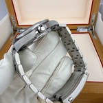 Omega Seamaster Diver 300M Chrome Dial 42 mm 