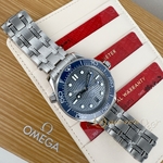 Omega •  Seamaster Diver 300M Chrome Dial 42 mm 