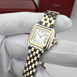 Cartier Panthere De Cartier Stainless Steel/Yellow Gold Small 22 x 30 mm W2PN0018