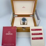 Omega Seamaster Diver 300M Chrome Dial 42 mm 