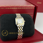 Cartier Panthere De Cartier Stainless Steel/Yellow Gold Small 22 x 30 mm W2PN0018
