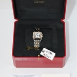 Cartier Panthere De Cartier Stainless Steel/Yellow Gold Medium 27 x 37 mm W2PN0019