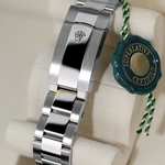 Rolex Sky-Dweller 42 mm White Rolesor Mint Green Dial 336934